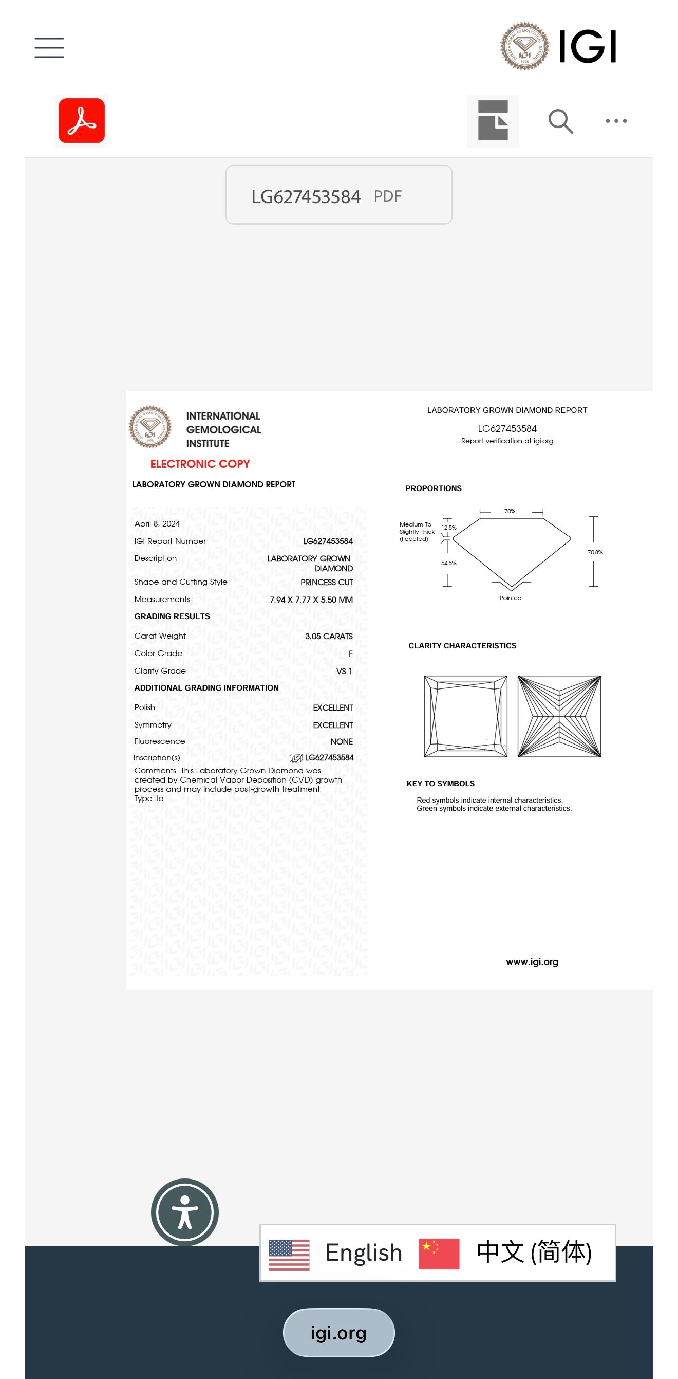 3.05ct princess cut Lab Grown Diamond Solitaire Ring IGI Certified set in platinum