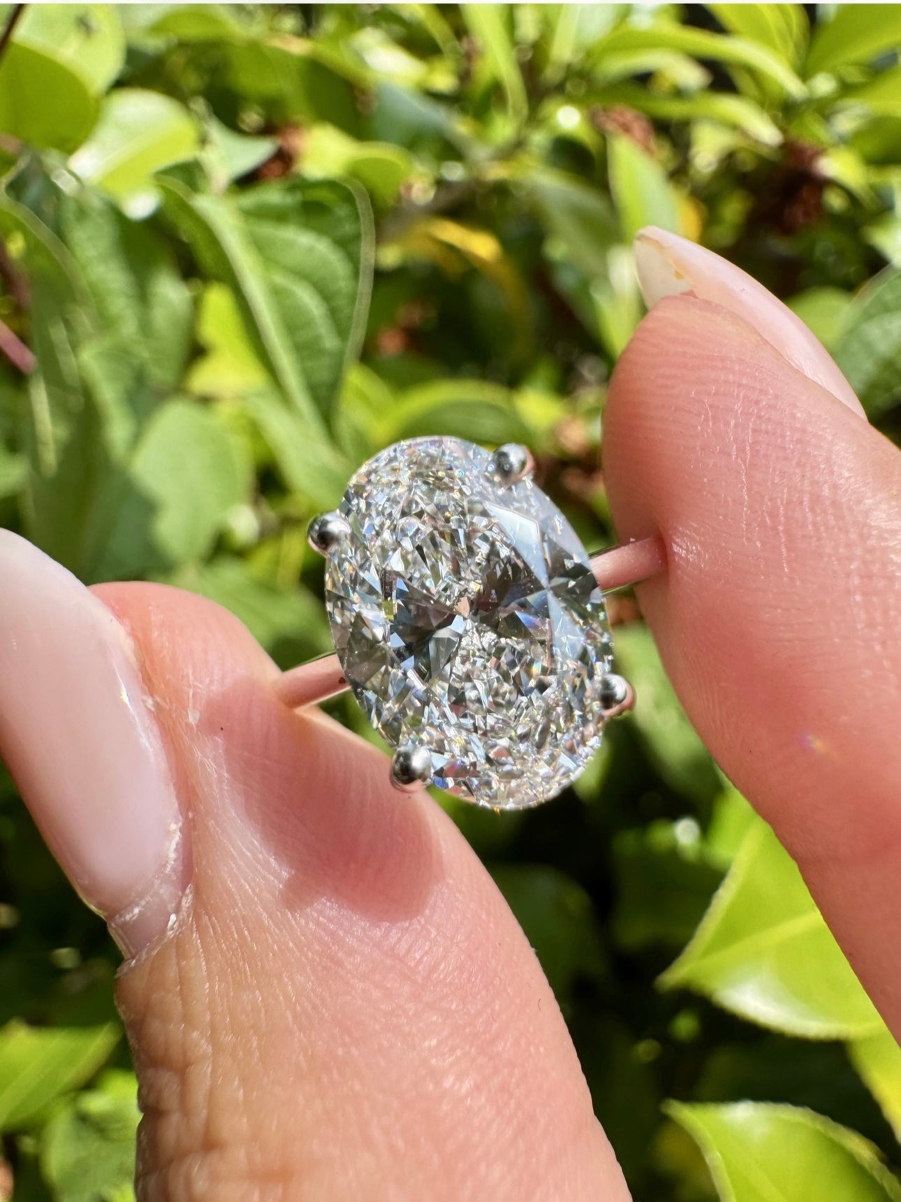 Lab Grown Jewellery - All