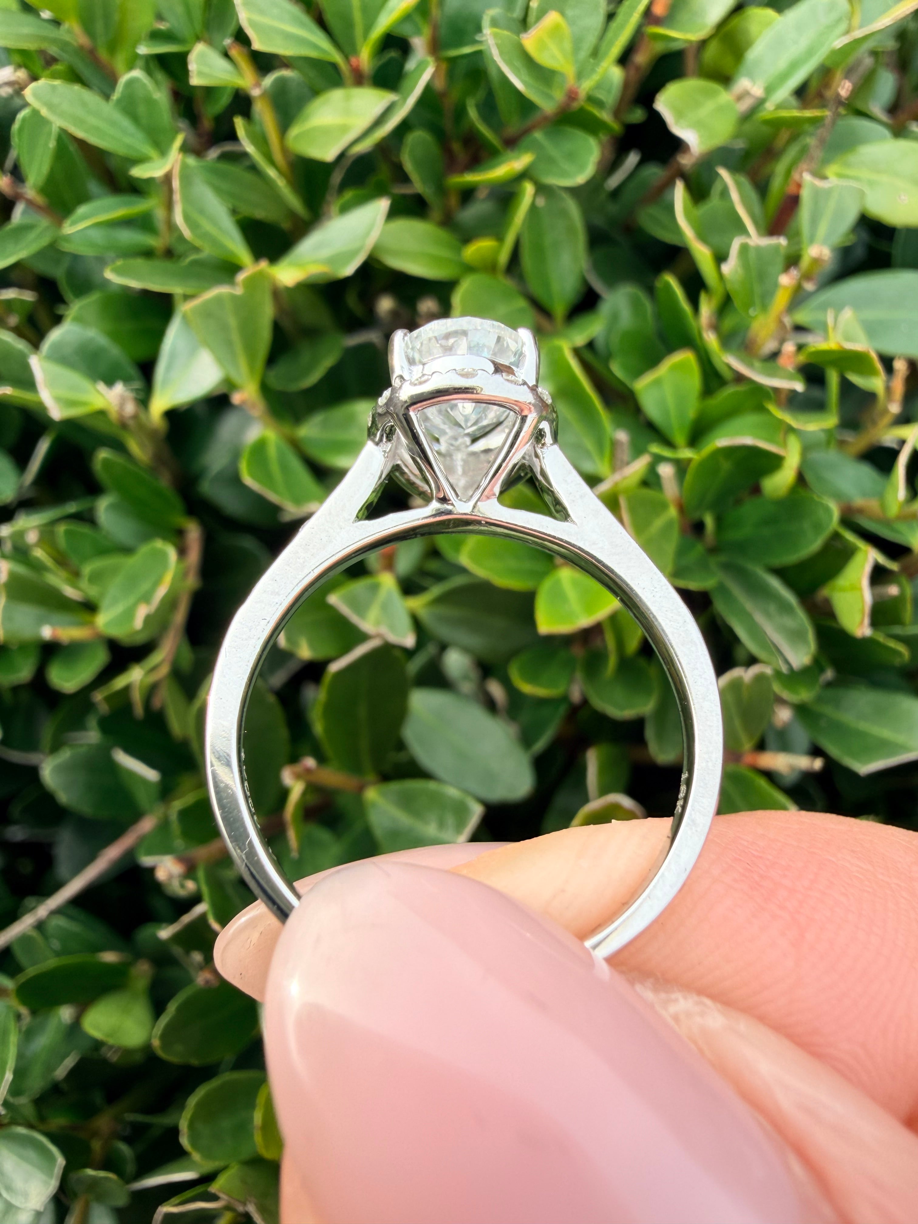 18k White Gold 1.49ct Natural Diamond Halo Ring Certified Lab Grown Mount