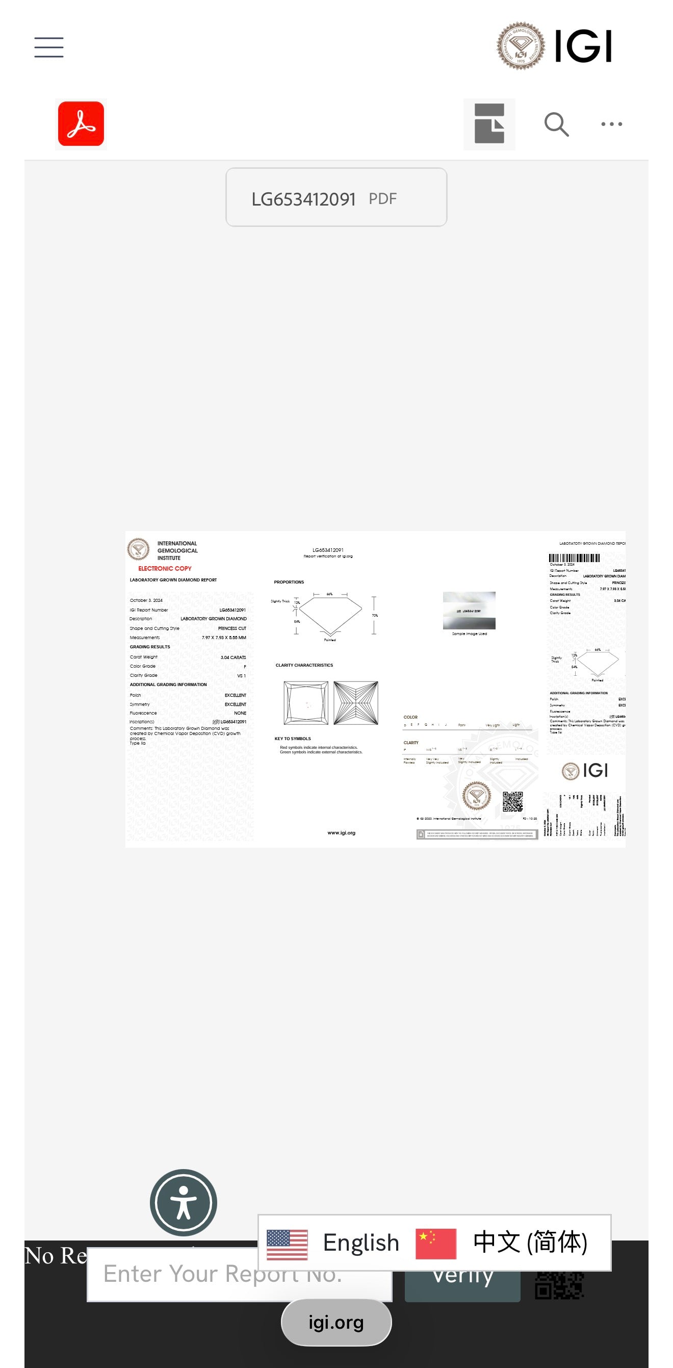 Platinum 3.04ct princess cut Lab-Grown Diamond Solitaire Ring – IGI Certified